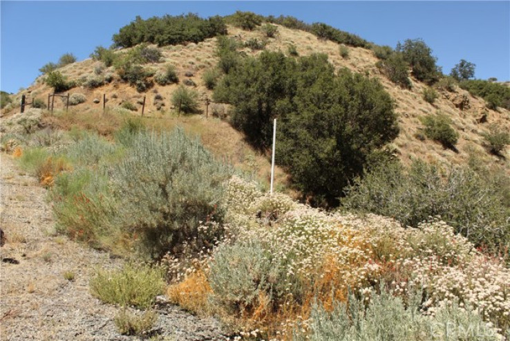  Land for Sale in Tehachapi, California