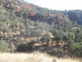  Land for Sale in Tehachapi, California