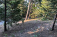  Land for Sale in Lake Arrowhead, California