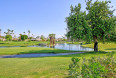 2 Bed Home for Sale in Palm Desert, California