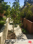 3 Bed Home for Sale in Culver City, California