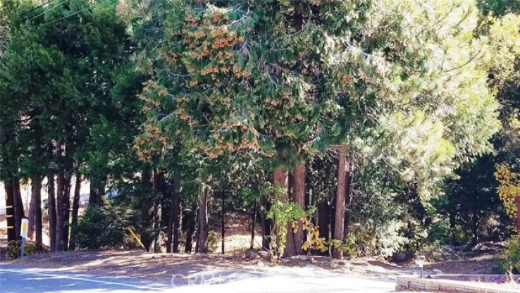  Land for Sale in Lake Arrowhead, California