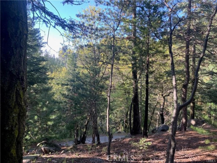  Land for Sale in Lake Arrowhead, California