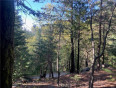  Land for Sale in Lake Arrowhead, California