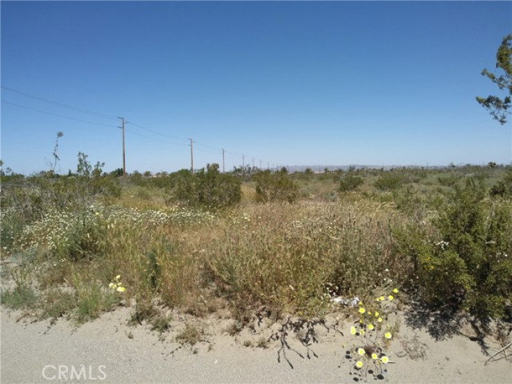  Land for Sale in Phelan, California