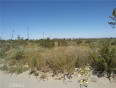  Land for Sale in Phelan, California