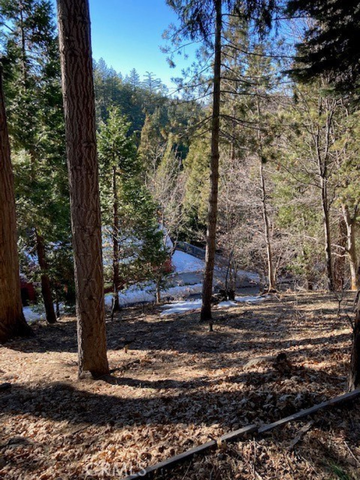  Land for Sale in Lake Arrowhead, California