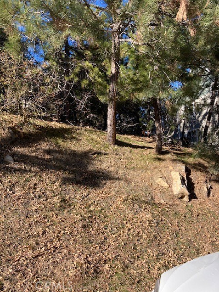  Land for Sale in Lake Arrowhead, California