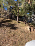  Land for Sale in Lake Arrowhead, California