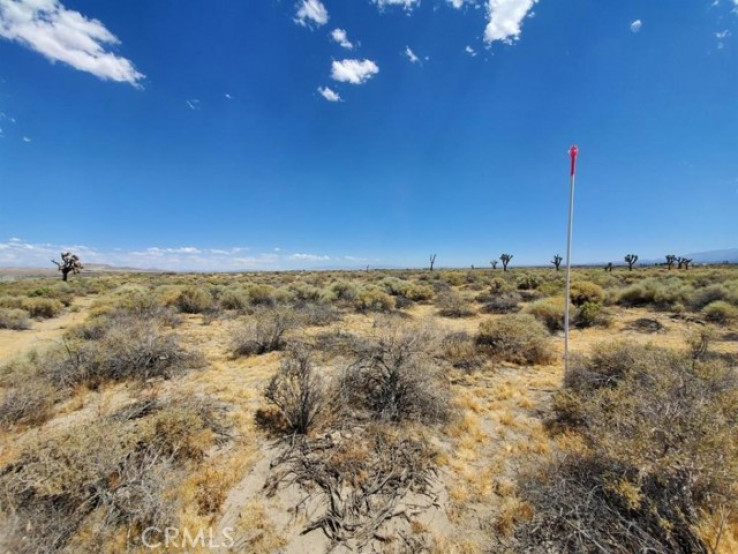  Land for Sale in Outside Area (Inside Ca), California
