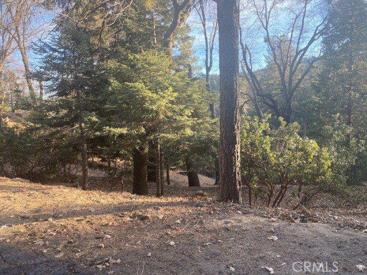  Land for Sale in Lake Arrowhead, California