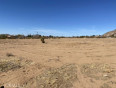  Land for Sale in Apple Valley, California
