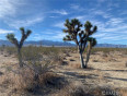  Land for Sale in Outside Area (Inside Ca), California