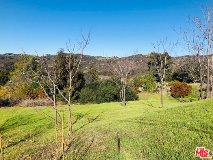Land in Topanga