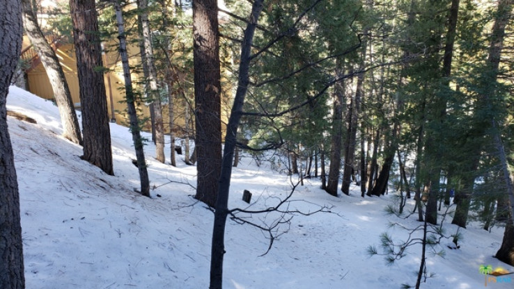  Land for Sale in Lake Arrowhead, California