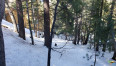  Land for Sale in Lake Arrowhead, California