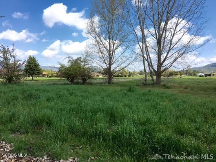  Land for Sale in Tehachapi, California