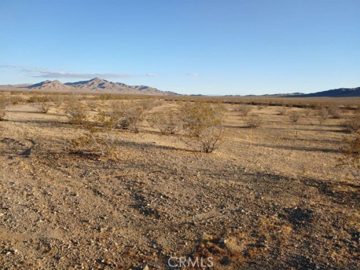 Land in Helendale