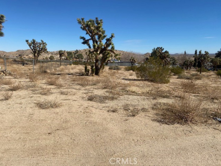  Land for Sale in Lake Los Angeles, California