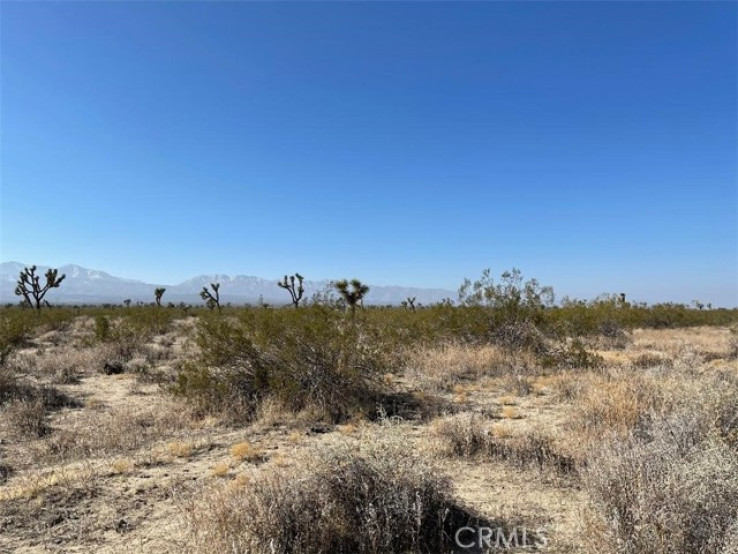  Land for Sale in Llano, California