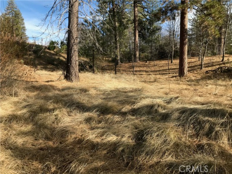  Land for Sale in Lake Arrowhead, California