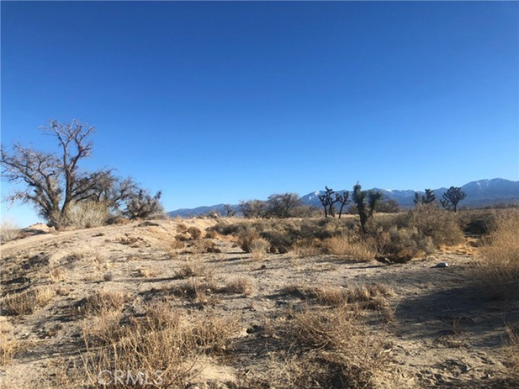  Land for Sale in Palmdale, California