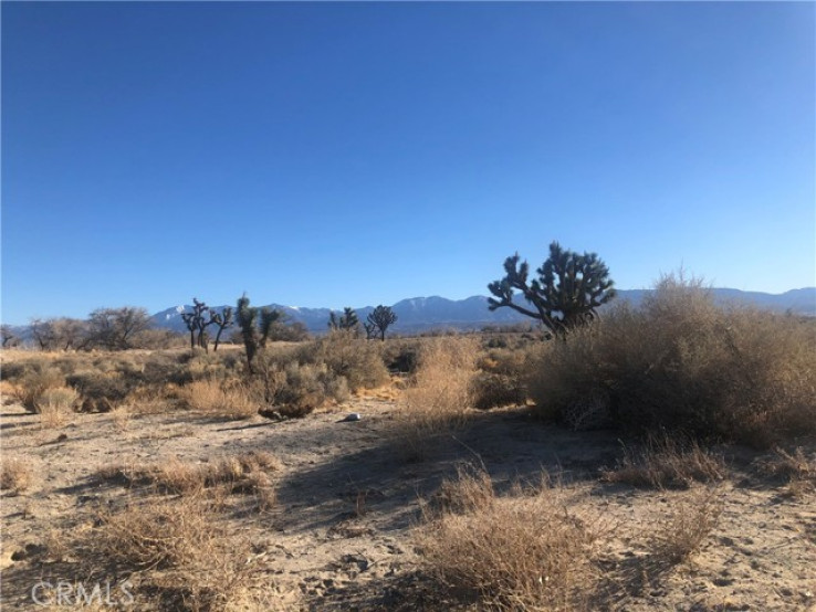  Land for Sale in Palmdale, California