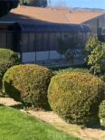 2 Bed Home for Sale in Newhall, California