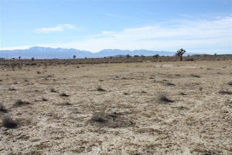  Land for Sale in Palmdale, California