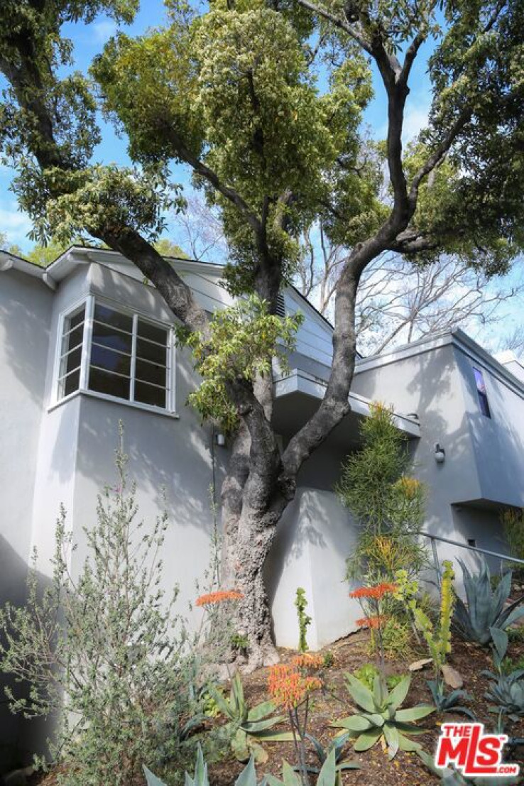 Residential Home in Los Feliz