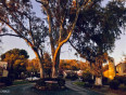 2 Bed Home for Sale in Ojai, California