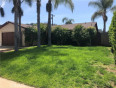 3 Bed Home for Sale in Ojai, California