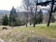  Land for Sale in Lake Arrowhead, California
