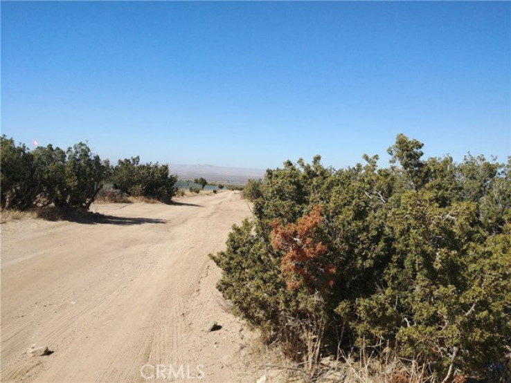  Land for Sale in Llano, California