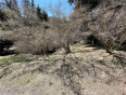 Land for Sale in Lake Arrowhead, California