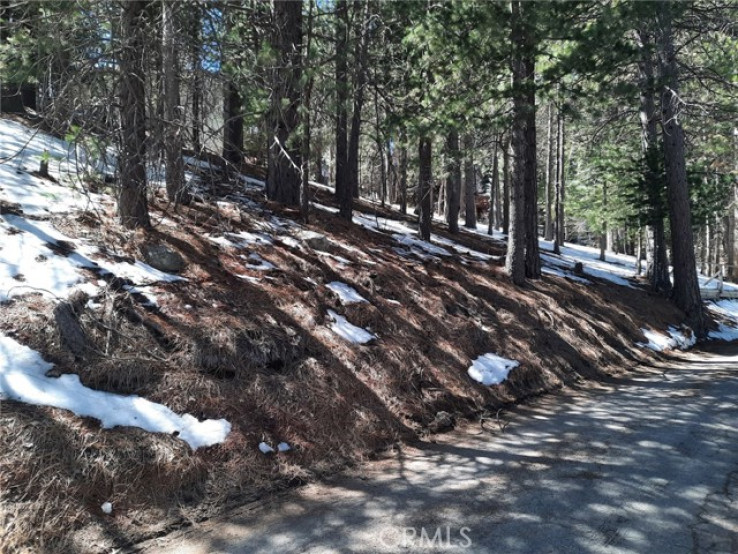  Land for Sale in Rimforest, California