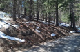 Land for Sale in Rimforest, California