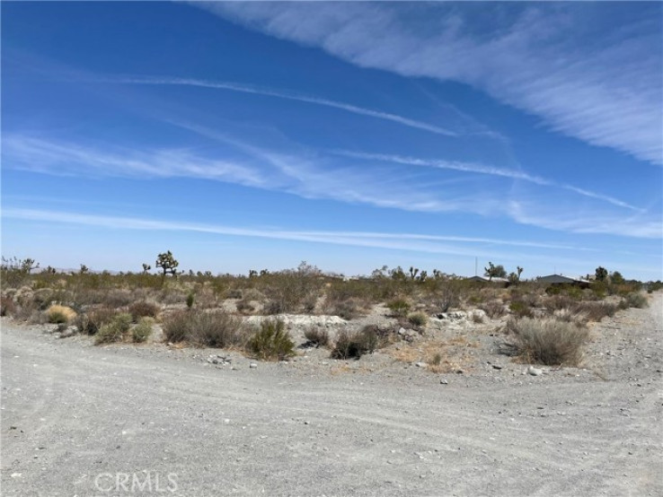  Land for Sale in Pinon Hills, California