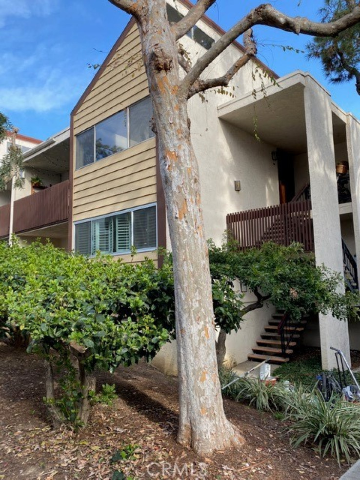 Residential Home in Culver City
