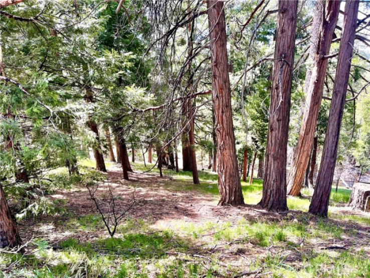  Land for Sale in Lake Arrowhead, California