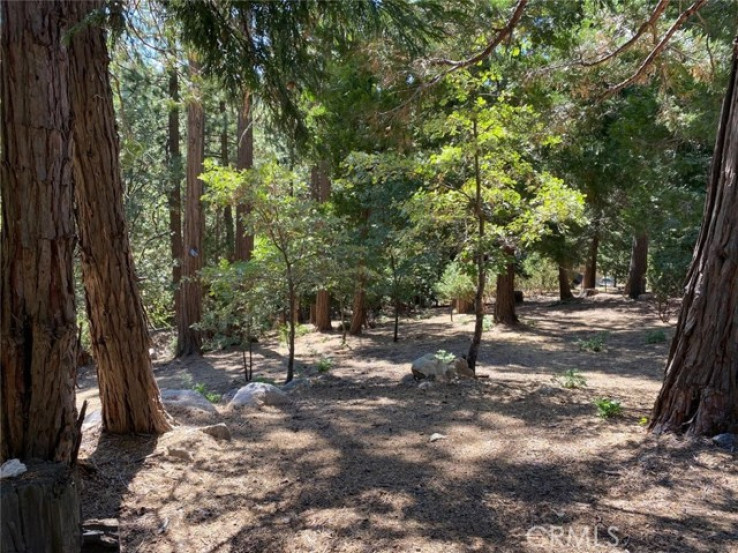  Land for Sale in Lake Arrowhead, California