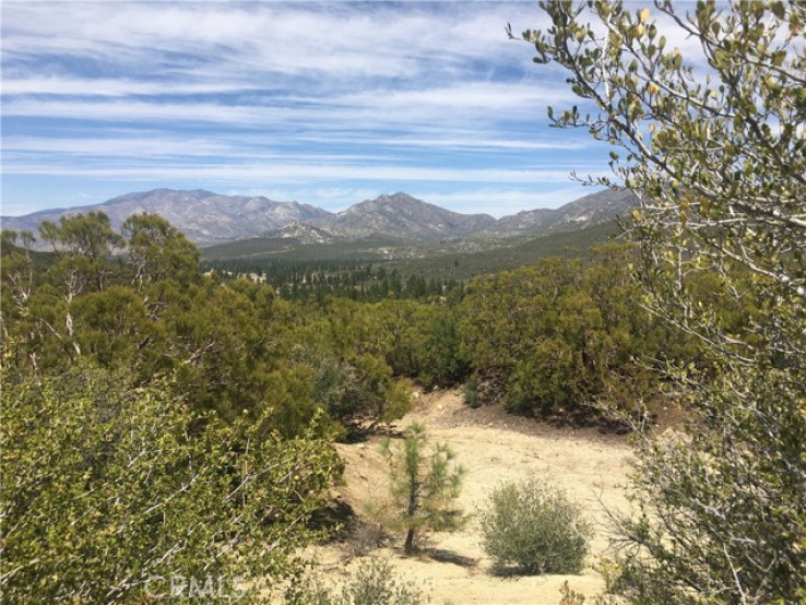 Land in Pinyon Pines, Garner Valley
