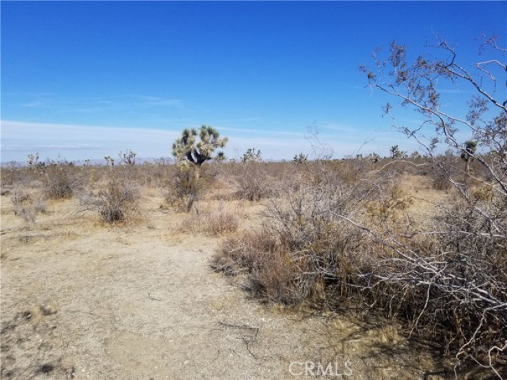 Land in Pinon Hills