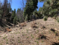  Land for Sale in Lake Arrowhead, California