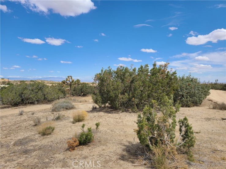  Land for Sale in Palmdale, California
