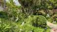 2 Bed Home for Sale in Los Angeles, California