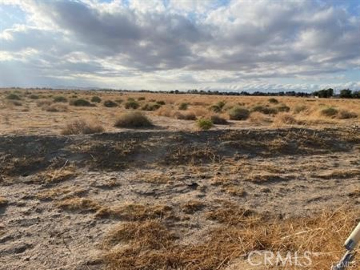  Land for Sale in Rosamond, California