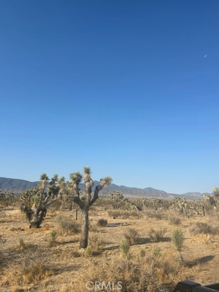  Land for Sale in Palmdale, California