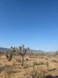  Land for Sale in Palmdale, California