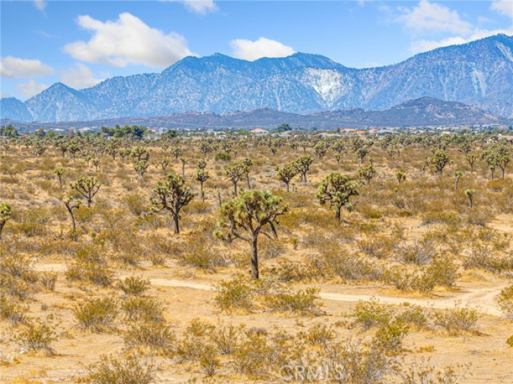  Land for Sale in Phelan, California